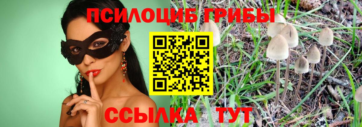 Нефтекумск  Галлюциногенные грибы мухоморы  Вход с VPN  Галлюциногенные грибы GOLDEN TEACHER 